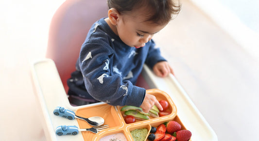 The best 5 tips for successful Baby-led weaning BLW
